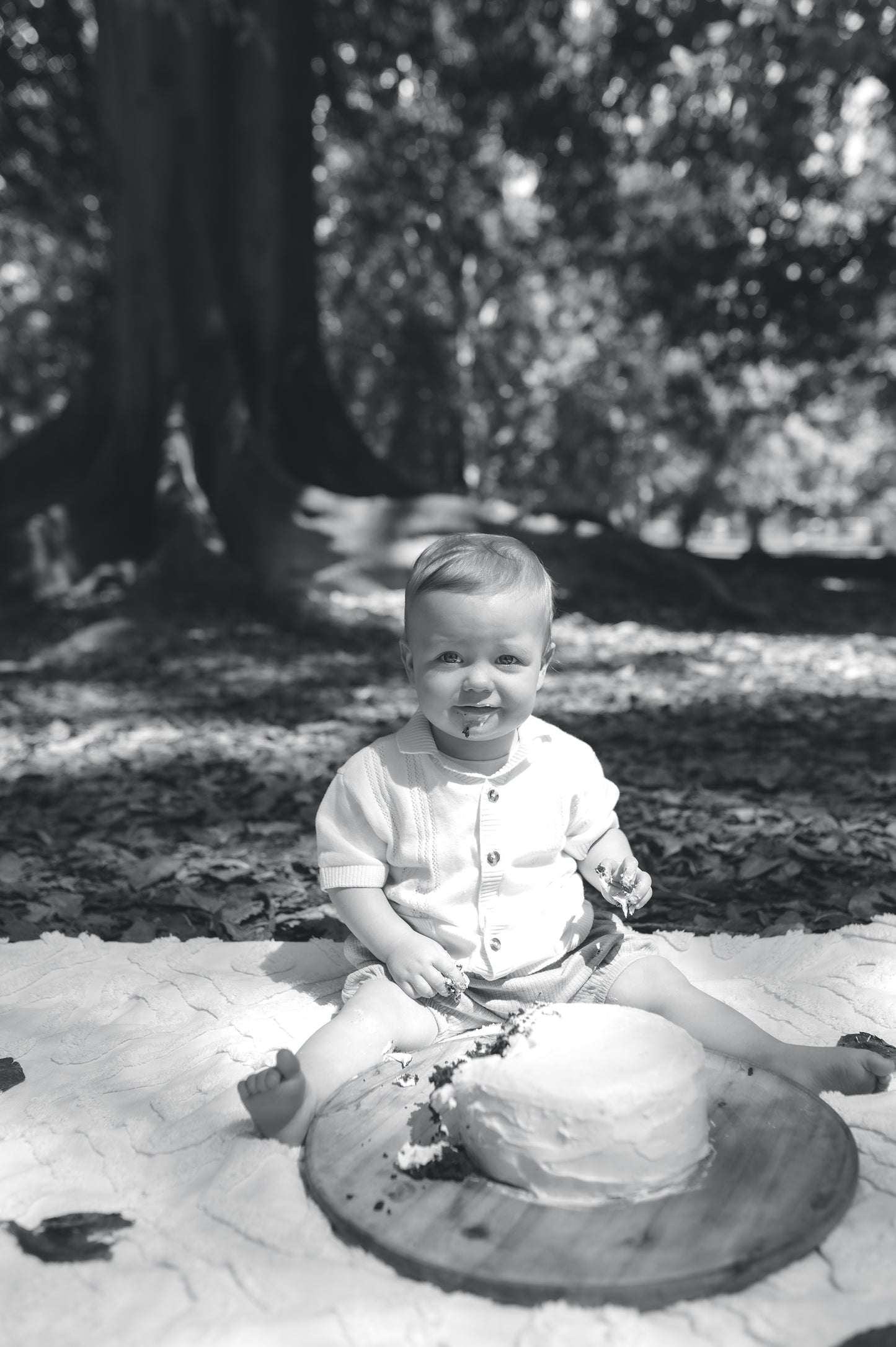 CAKE SMASH / ONE YEAR SITTER