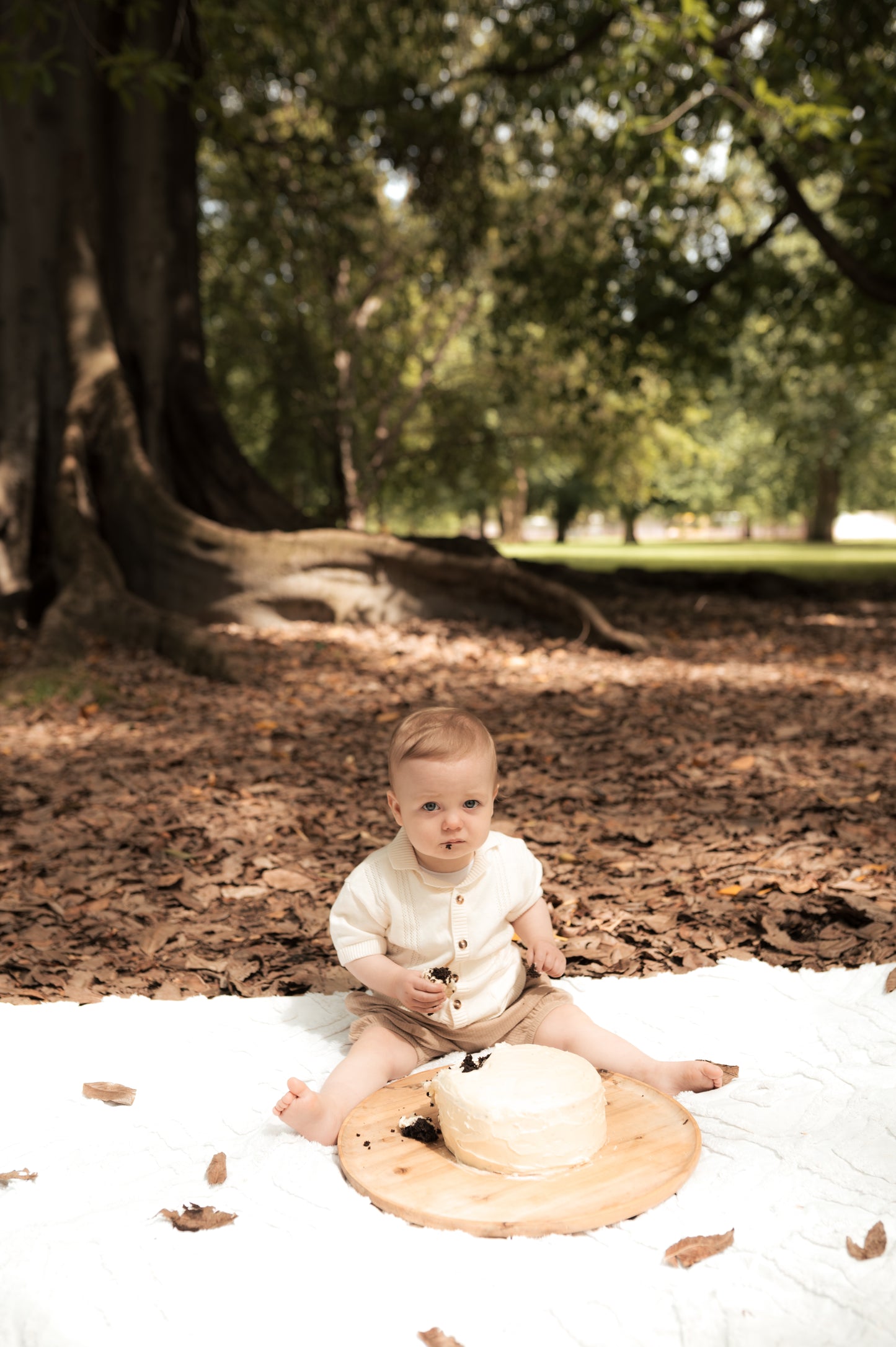 CAKE SMASH / ONE YEAR SITTER