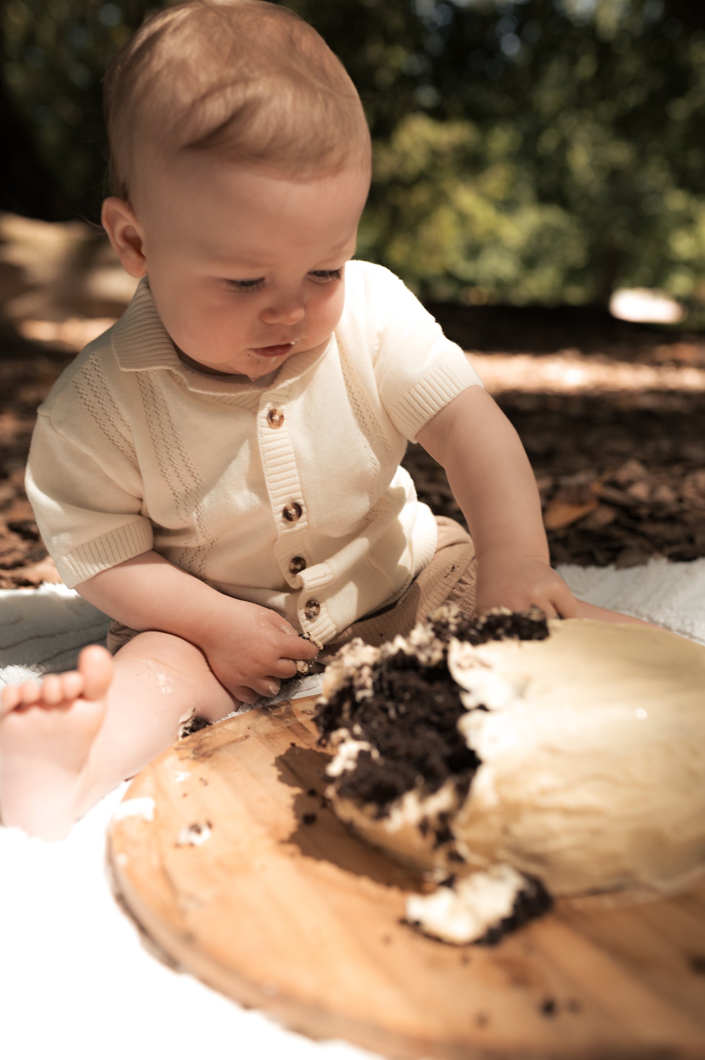 CAKE SMASH / ONE YEAR SITTER